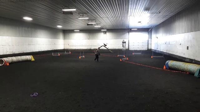 Zephyr Open Chances Penguin смотреть онлайн