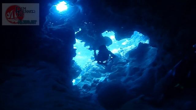 coralsea Flora and Holmes Reefs 5days ホルメスリーフ フローラリーフ　コーラルシー　ダイビングトリップ смотреть онлайн