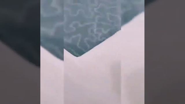 16 октября 2019 г. смотреть онлайн