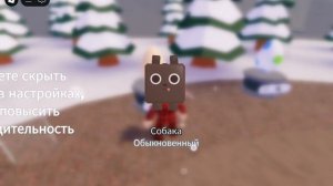 SVID_20250406_170511_1.mp4