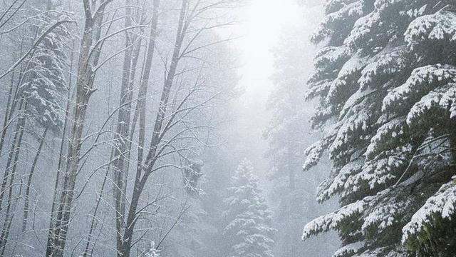 Ветер. 1 час. Завывающий зимний ветер для сна, работы и учебы