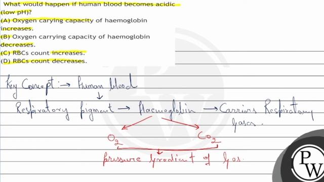 What would happen if human blood becomes acidic (low pH)?
(A) Oxygen carying capacity of haemogl... смотреть онлайн