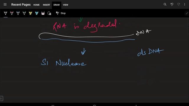 Lecture 14 | Molecular Basis of Inheritance | Human Genome Project | Class 12 | NEET смотреть онлайн