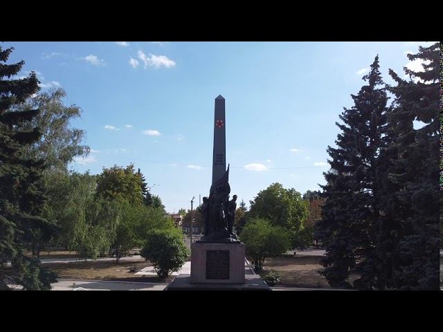 Влетел задом в ветки.