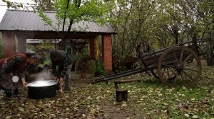 Kənd Həyatı.  Preserving Wild Rose Hip for Winter  A Natural, Free Food Solution