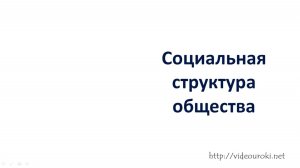 13. Социальная структура общества
