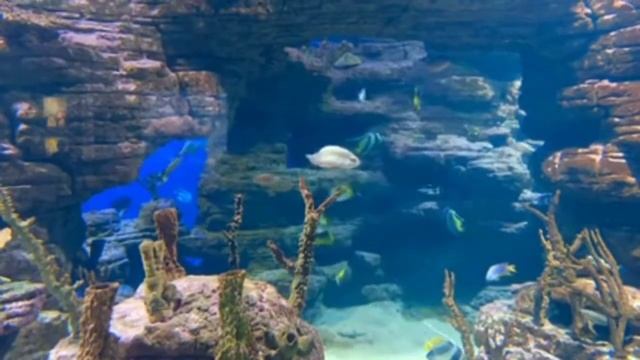 Music for deep sleep. Cleansing from negative energy, vibration 432 Hz. Water world. смотреть онлайн