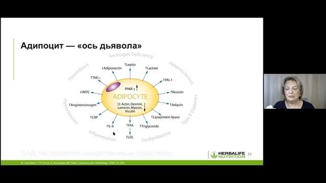 Общая теоретическая часть про ожирение смотреть онлайн