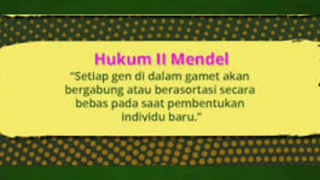Hukum Pewarisan (HK. Mendel I dan II) IPA SMP/MTs Kelas IX Semester Ganjil смотреть онлайн