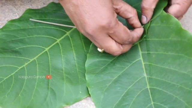 Handmade Leaf Plate/ How to Make Natural Leaf Plate/ Ugadi Pachadi/ Natural Life /Vistaraku смотреть онлайн