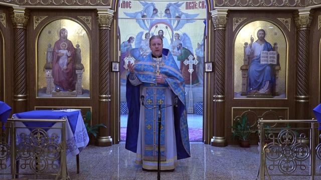 Человек в этом мире странник. Проповедь священника Димитрия Лушникова смотреть онлайн