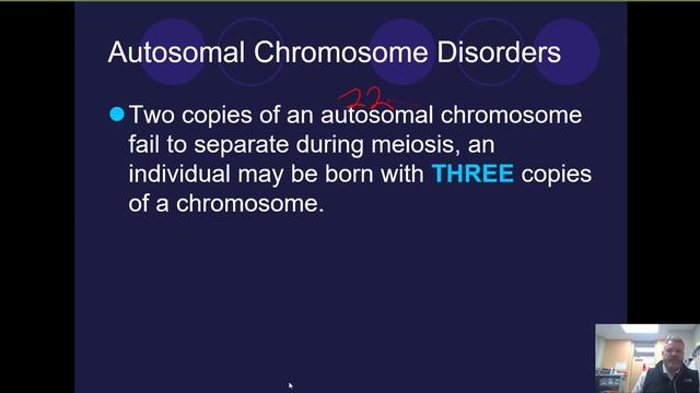 Karyotypes смотреть онлайн