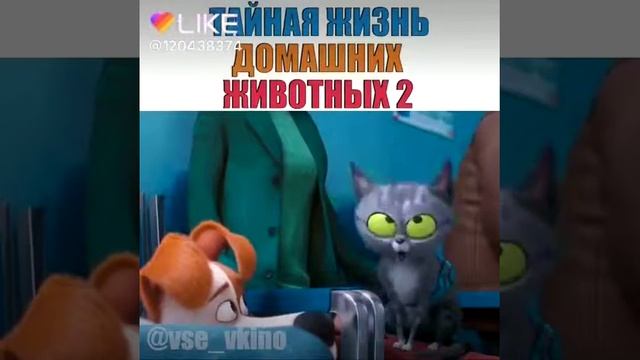 Тайная жизнь домашних животных2 смотреть онлайн