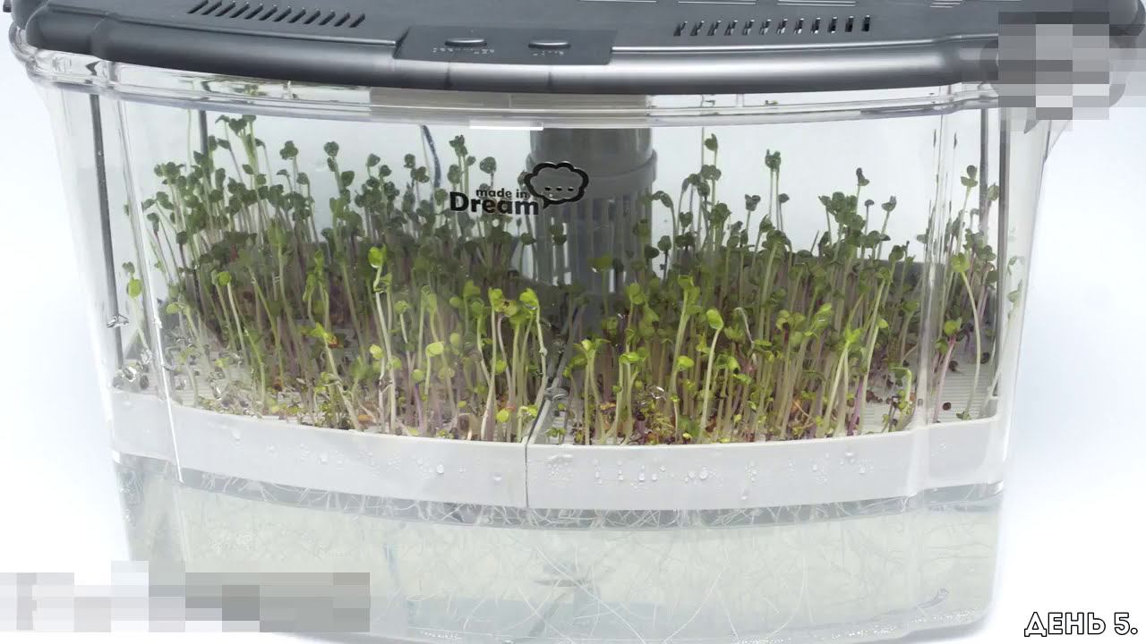 Лотки для микрофермы Dream Sprouter смотреть онлайн