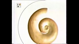 [50fps] Заставка программы 'Настроение' (ТВЦ, 2001-2006)