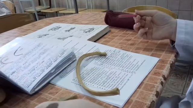 Ребра смотреть онлайн