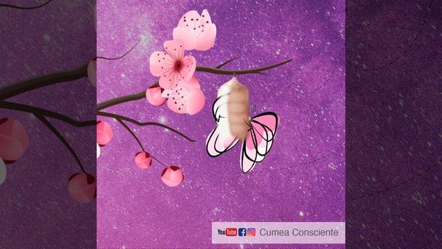 METAMORFOSIS: Mariposa (Fase 8) смотреть онлайн