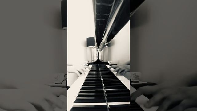 Schumann: Die Lotosblume (Piano Accompaniment) смотреть онлайн