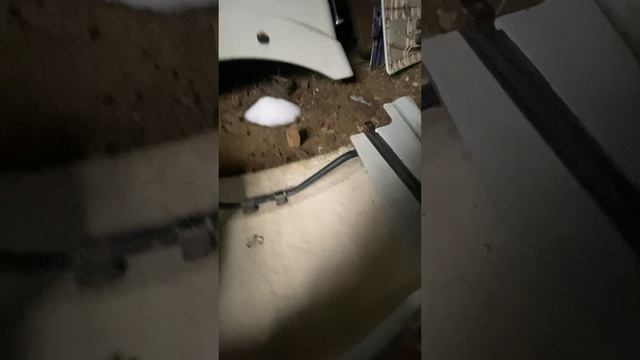 Свирепый Ежик 003