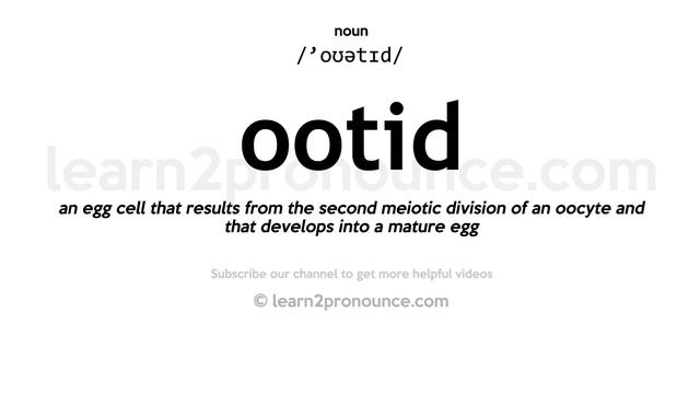 Pronunciation of Ootid | Definition of Ootid смотреть онлайн