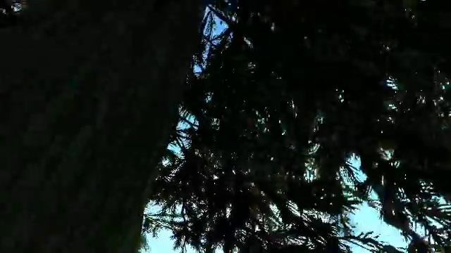 Bigfoot [Halo: Reach] [SD] смотреть онлайн