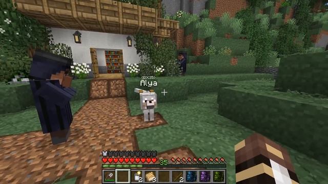 A Gardener and His Cats Among the Nemesias!! 🐘 Zoo Crafting: Episode #152 смотреть онлайн