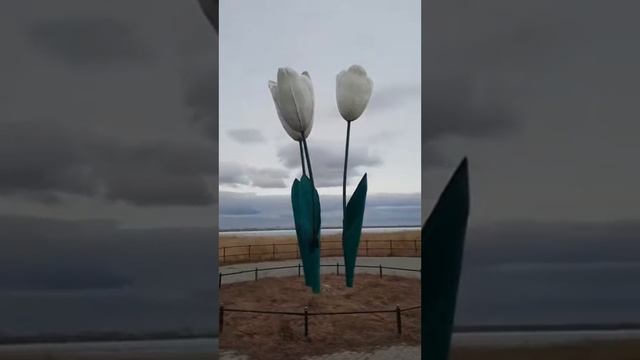Озеро Смолино. Челябинск смотреть онлайн