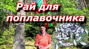 Рыбалка на леща в июне!!!! Ловля леща на поплавочную удочку