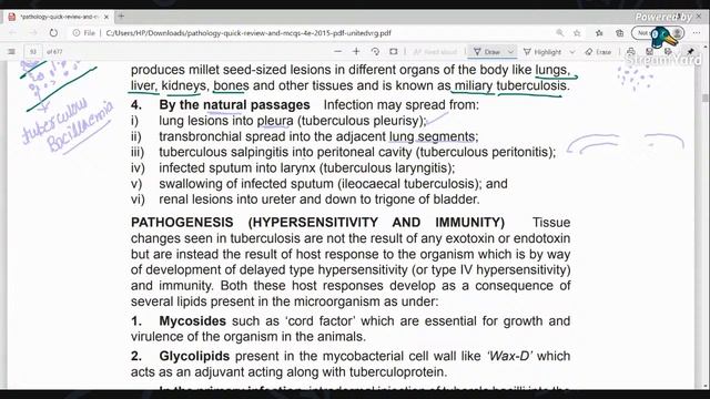 Tuberculosis PATHOLOGY | CAUSES, TYPES, PRIMARY & SECONDARY INFECTION OF TB смотреть онлайн