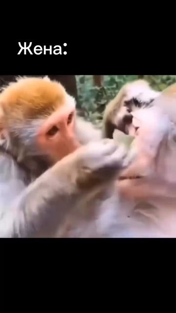 Прозрение смотреть онлайн