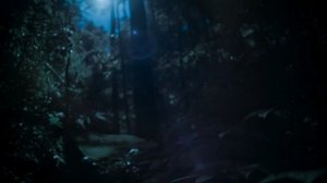 Земля ночью в цвете 1 сезон 2 серия «Джунгли долгопятов» (документальный сериал, 2020)