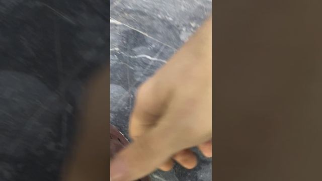 76596861073__AD8486B8-A8D6-4847-B5AC-9FF14F8C1CCF