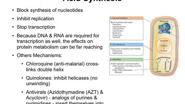 CH12a Principles Interactions смотреть онлайн