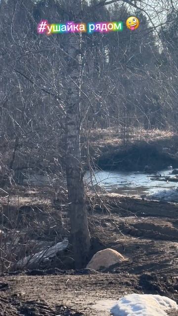 Затопит или нет? Весна, время покупки участков 2025 #shorts смотреть онлайн