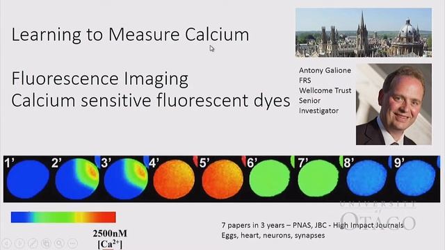 IPL - Ruth Empson "Mind the Gap" смотреть онлайн
