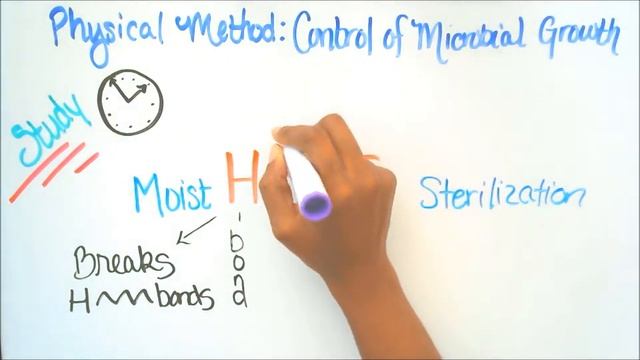 Moist Heat Sterilization: Microbiology смотреть онлайн