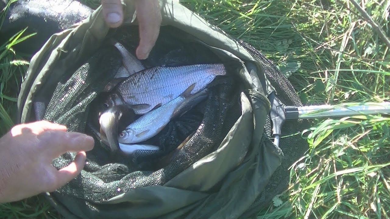 Лучший способ отдохнуть от металокопа! В гостях у канала "Юрий Тетерин". смотреть онлайн