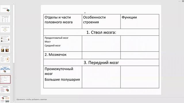 Zoom Мозги 8Б: Маша, Клим, Егор, Соня, Яна, Ульяна, Никита, Настя. смотреть онлайн