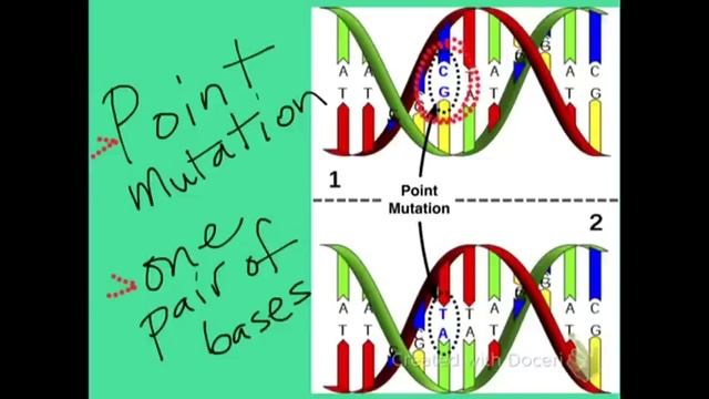 5-2A Mutations смотреть онлайн