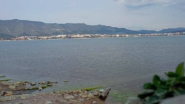 Море чайки 10-04-2025 смотреть онлайн