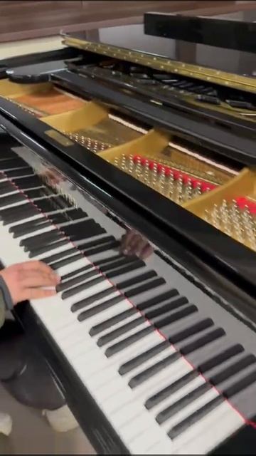 Рояль кабинетный чёрный немецкий Schiedmayer & Sohne смотреть онлайн