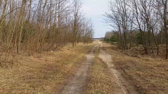 Ютербогский полигон.Заглубленный объект у танковой директрисы ЮУЦ 28.03.2021 смотреть онлайн