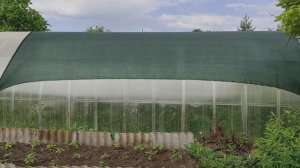 КАК ЗАТЕНИТЬ ТЕПЛИЦУ ОТ СОЛНЦА БЫСТРО И ПРОСТО. И НЕ ТОЛЬКО ТЕПЛИЦУ! #сеткаотжары #затеняющаясетка