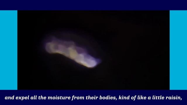 "What's your STEM superpower?": Eliza смотреть онлайн