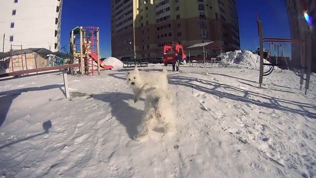 Наши малыши-беляши смотреть онлайн