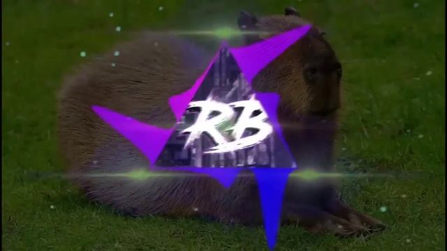 Капибара   Phonk Edition 1 час Capybara   Phonk Edition  1 Hour 720p