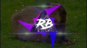Капибара   Phonk Edition 1 час Capybara   Phonk Edition  1 hour 720p