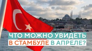 Что можно увидеть в Стамбуле в апреле? (Турция)