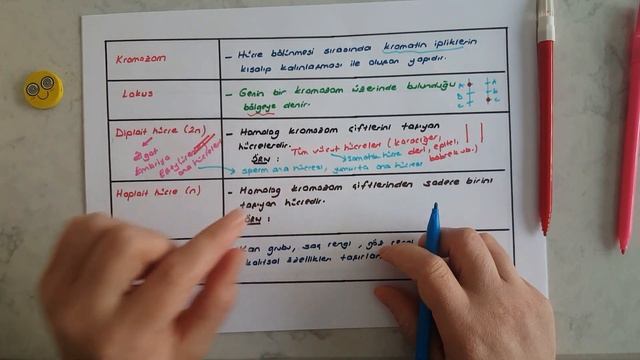 10. Sınıf Hücre Bölünmesi Mitoz Bölünme - 1 смотреть онлайн