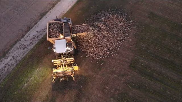 Rübenroden 2021 Mit KLEINE SF 10-2